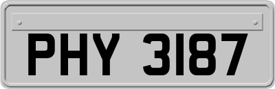 PHY3187