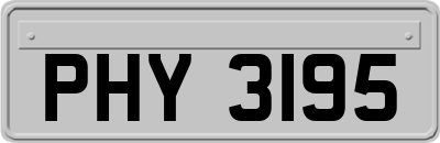 PHY3195