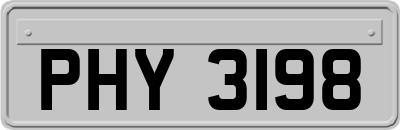 PHY3198