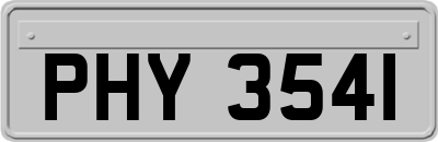 PHY3541