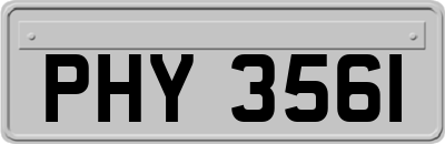 PHY3561