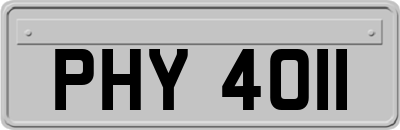 PHY4011