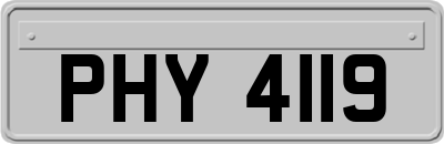 PHY4119