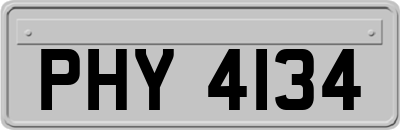 PHY4134