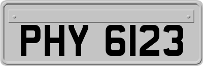 PHY6123