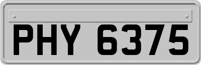 PHY6375