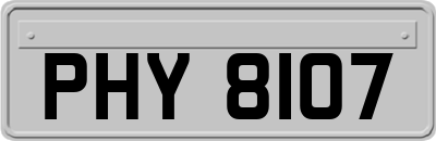 PHY8107