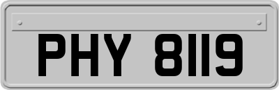 PHY8119