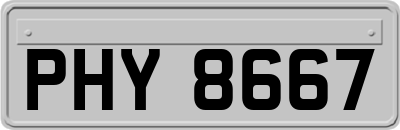 PHY8667