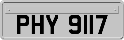 PHY9117