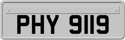 PHY9119