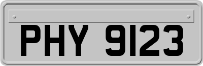 PHY9123