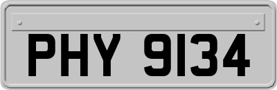 PHY9134