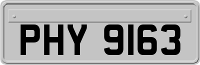 PHY9163