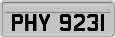 PHY9231