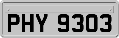 PHY9303