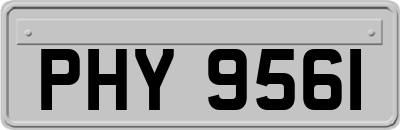 PHY9561