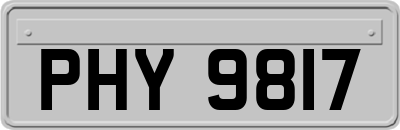 PHY9817