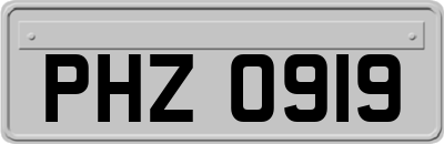 PHZ0919