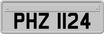 PHZ1124