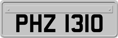 PHZ1310