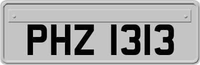 PHZ1313