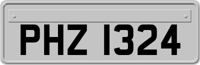 PHZ1324