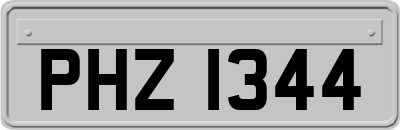 PHZ1344
