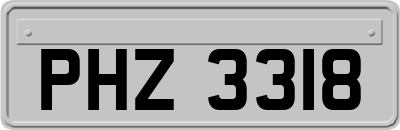 PHZ3318