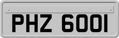 PHZ6001