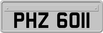 PHZ6011