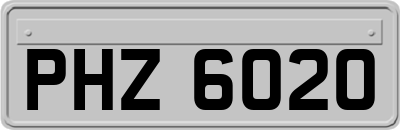 PHZ6020