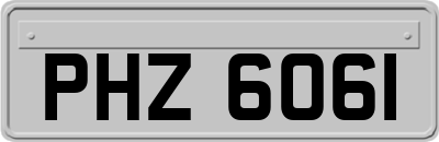 PHZ6061