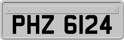 PHZ6124