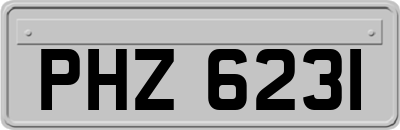 PHZ6231