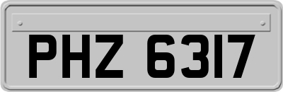 PHZ6317