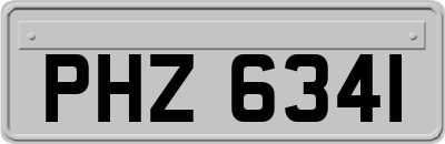 PHZ6341