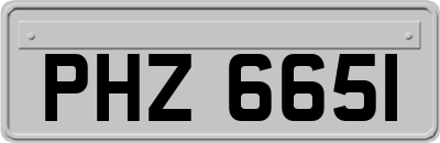 PHZ6651