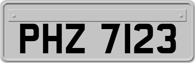 PHZ7123