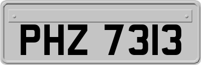 PHZ7313