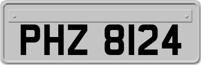 PHZ8124