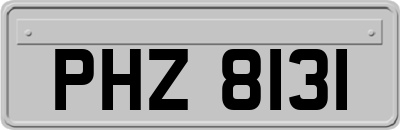 PHZ8131