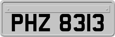 PHZ8313