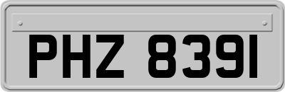 PHZ8391