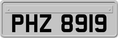 PHZ8919