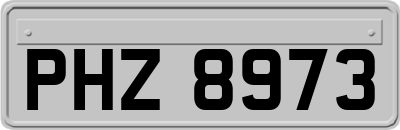 PHZ8973