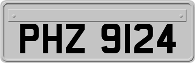 PHZ9124