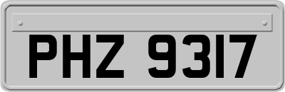 PHZ9317