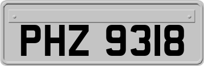 PHZ9318