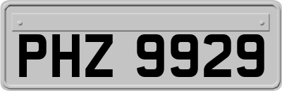 PHZ9929